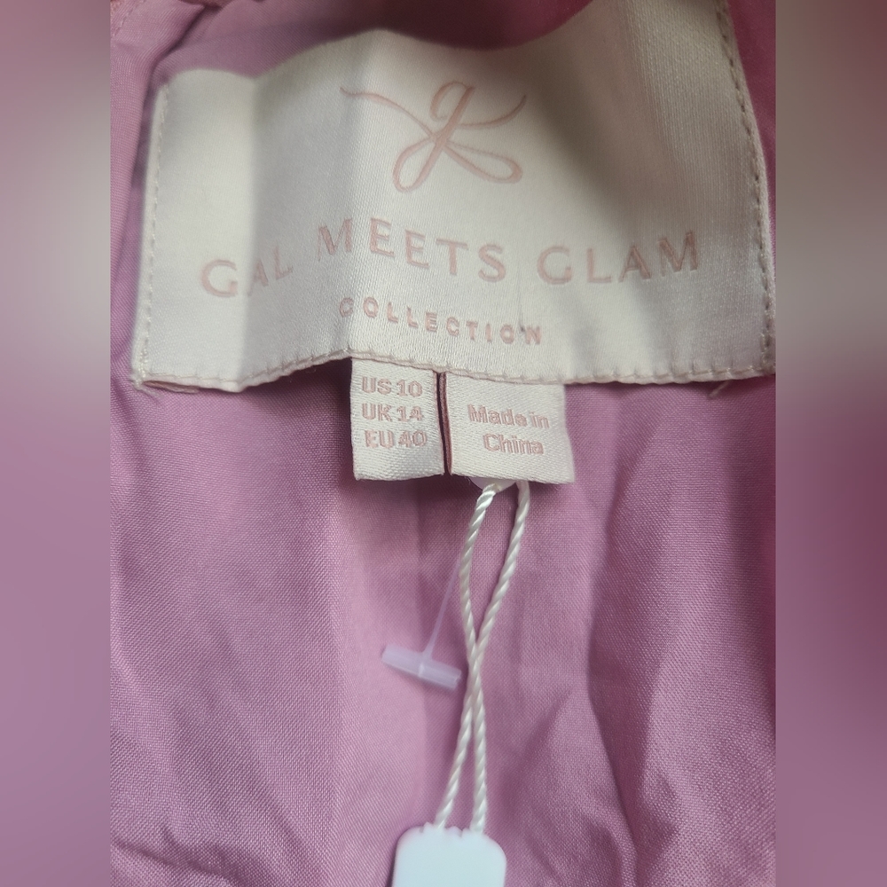 𝅺gal Meets Glam Lenore Embroidered Chiffon Dress - Picture 2 of 10